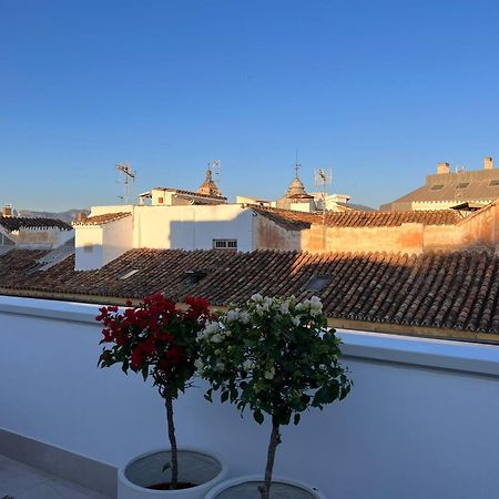 Atarazanas Suite, Atico Con Terraza 말라가 외부 사진